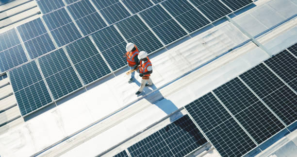 Best Roof Moss and Algae Removal  in Lenape Heights, PA