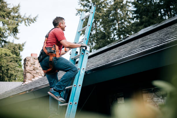 Best Roof Maintenance and Cleaning  in Lenape Heights, PA
